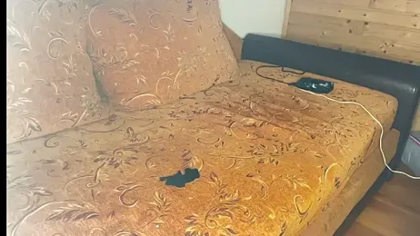 diablocuple webcam model stream image