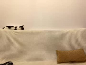 beautifulnik webcam model stream image