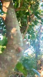 lostinthebside webcam model stream image