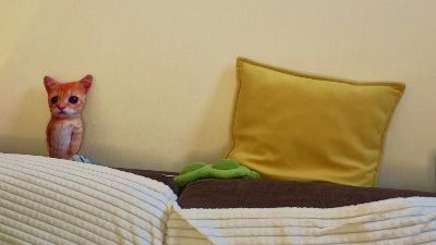 CicelySmeja webcam model stream image
