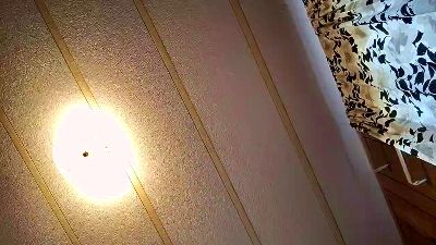 Fireball_one webcam model stream image