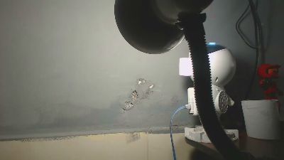 Dara_bravo webcam model stream image