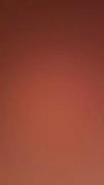 Sahaanh webcam model stream image