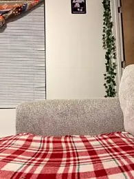 tastylolaaa webcam model stream image