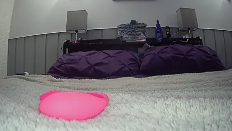 alexassts webcam model stream image