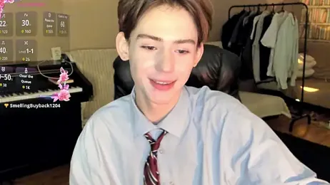 winsdor webcam model stream image