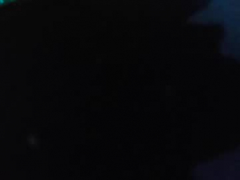 bandogabs webcam model stream image