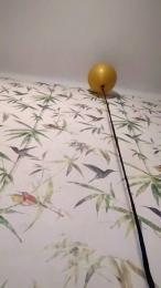 Angeldelcaos webcam model stream image