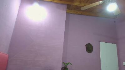 cojeelcamino webcam model stream image