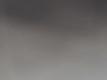 pavlovacoluccii_ webcam model stream image