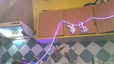 Jony_Marta webcam stripchat model stream image