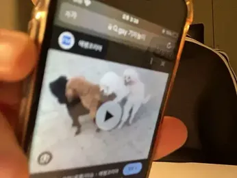 dkskdksk12 webcam model stream image