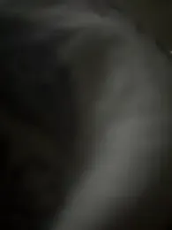 pkl030 webcam model stream image