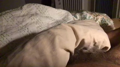 aldolecat webcam model stream image