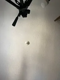 carla_rossin webcam model stream image