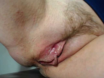 Xollan webcam model stream image