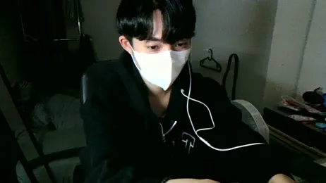 max5388 webcam model stream image