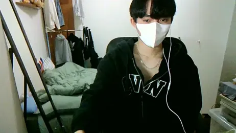 max5388 webcam model stream image