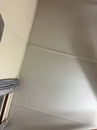 hungBrownCock webcam model stream image