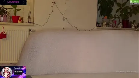 VenomVixen webcam model stream image