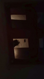 Paradax68 webcam model stream image