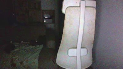 Perrrito8 webcam model stream image