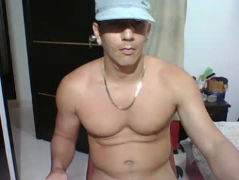 gattitosexy_95 webcam model stream image