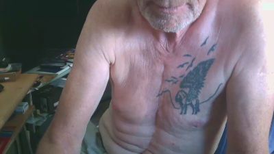 pegasus1853 webcam model stream image
