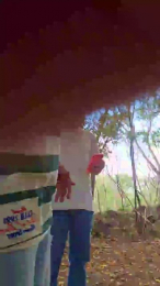 kevinxlvx webcam model stream image