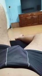 pollon531 webcam cam4 model stream image