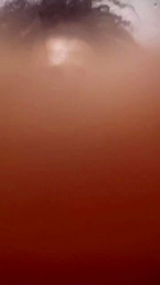 Anesca2 webcam model stream image