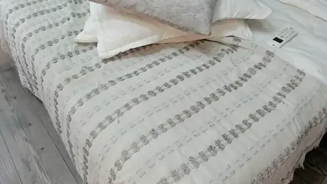 isa_lancaster webcam model stream image