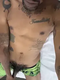 2HandsLong webcam model stream image