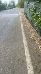 porcobg18 webcam model stream image