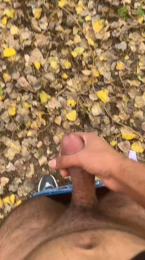 porcobg18 webcam model stream image