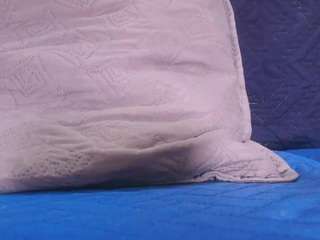 sofia-dkr webcam model stream image