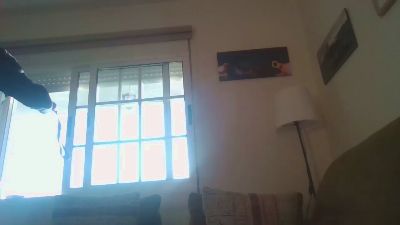 pango1 webcam model stream image