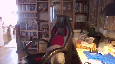 jwo100 webcam model stream image