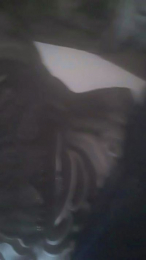 Angelitoandres webcam model stream image