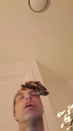 BnBsexx webcam model stream image