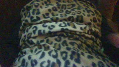 sexyladyp webcam cam4 model stream image