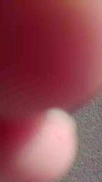 seby1982 webcam model stream image