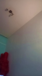 marquestorres webcam model stream image