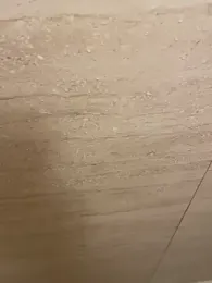 junieel webcam model stream image