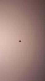 auplusprofond webcam model stream image