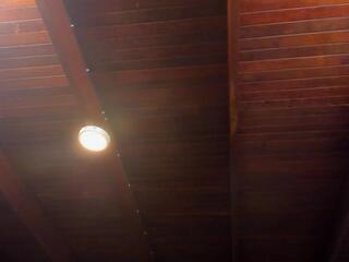 Lukee Taylor webcam flirt4free model stream image