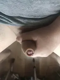 TobyDick13 webcam model stream image