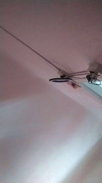 lucy321 webcam model stream image