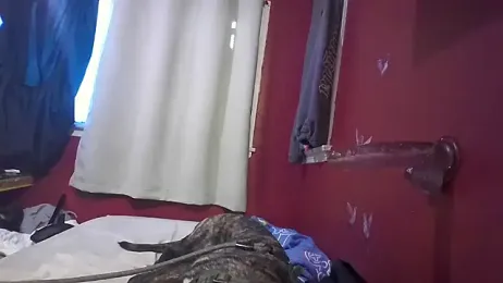 Cnutt310 webcam model stream image