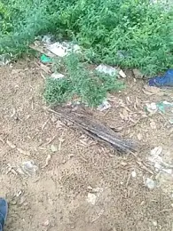 teluguu-rajj webcam stripchat model stream image